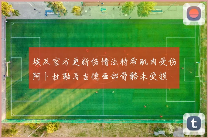 埃及官方更新伤情法特希肌肉受伤阿卜杜勒马吉德面部骨骼未受损