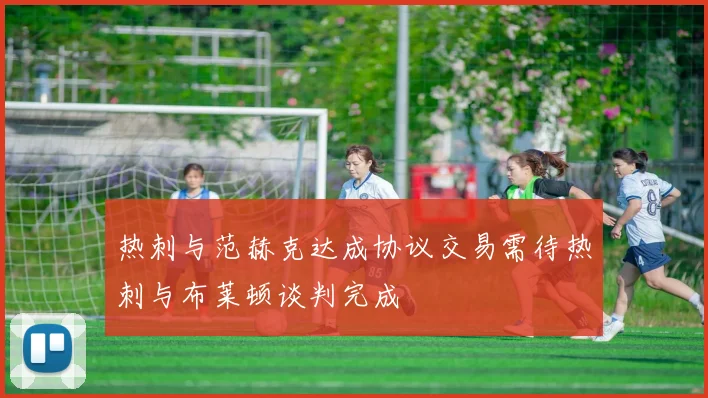 热刺与范赫克达成协议交易需待热刺与布莱顿谈判完成